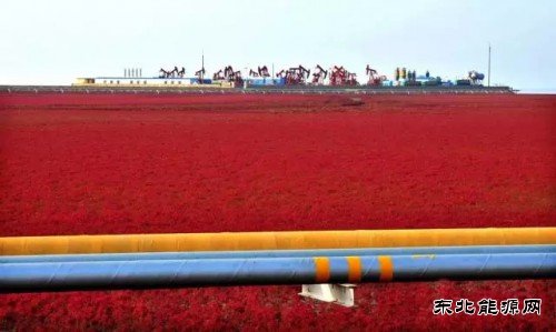 国内石油竟然这么“绿”乐博体育都不知道？