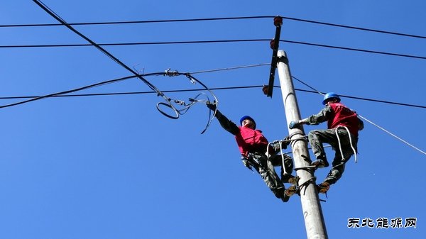 佳木斯供电公司：高温下的抢修