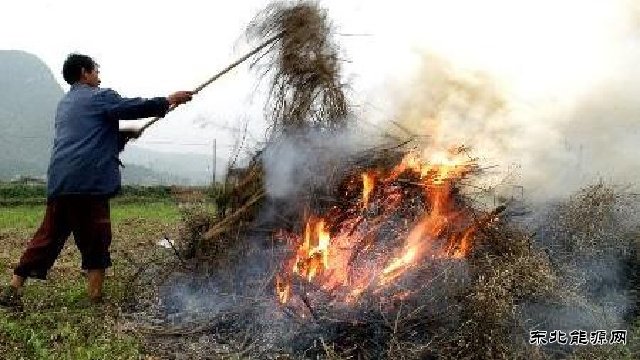 辽宁将对秸秆焚烧防控不力部门追责 情节严重者负刑责