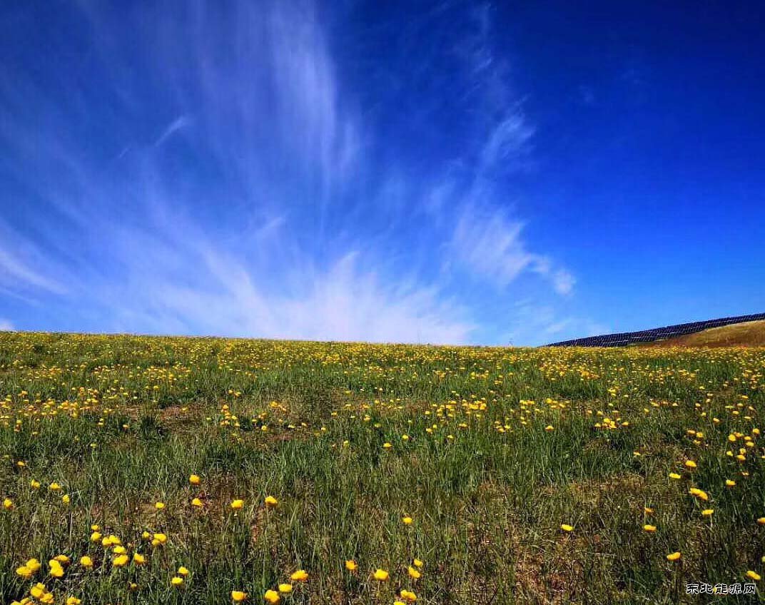 草天辉映（摄影作品）