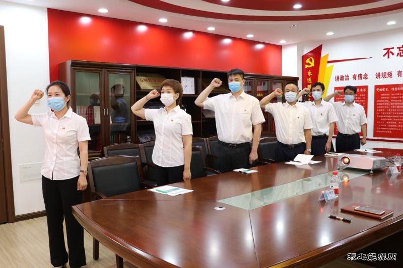 国网黑龙江牡丹江水电总厂开展纪念建党99周年系列活动