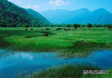 决胜之年，中央政府拿出多少真金白银支持地方治污？