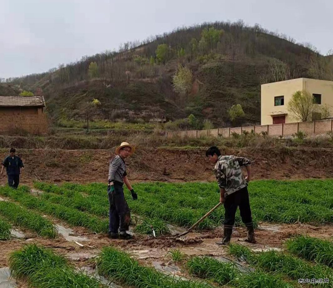 “一枝花”转型发展记