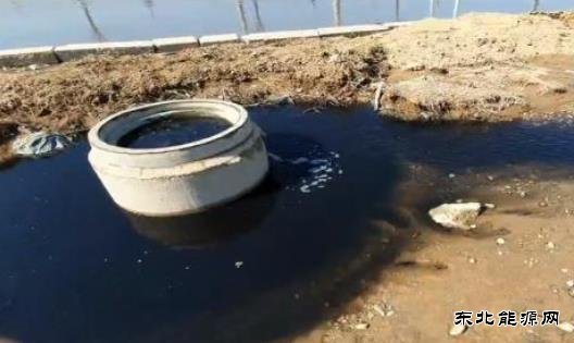 辽宁省沈阳经济技术开发区管委会主体责任落实不到位