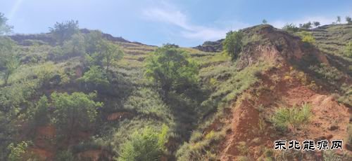 陕煤陕北矿业涌鑫公司：“顺道”回家的路