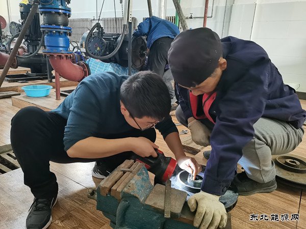 蒲白白水社区：职场“菜鸟”成长记