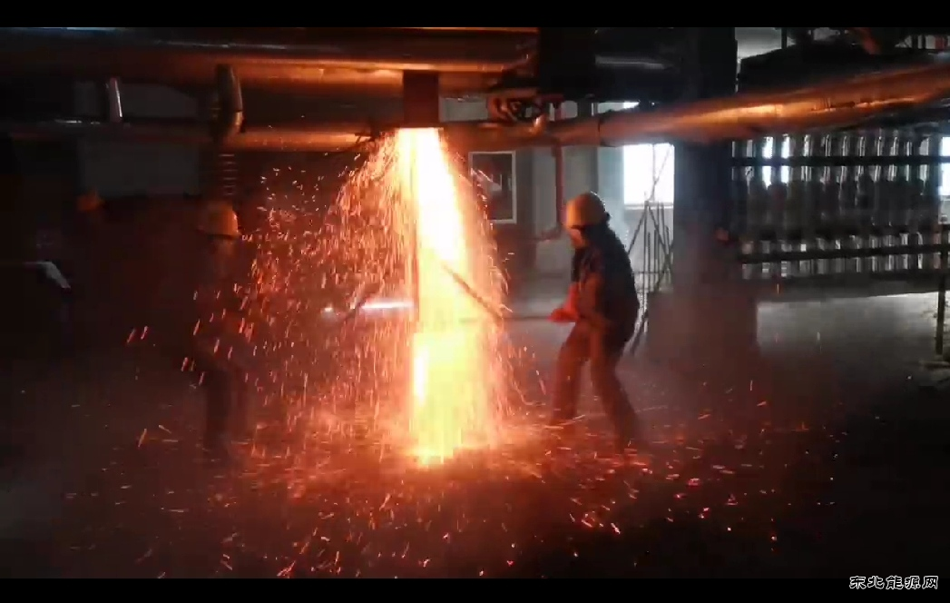 汗水铸就奋斗之花