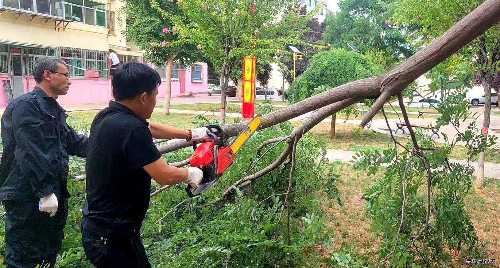 蒲白中心社区：狂风暴雨过后社区人在干什么