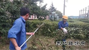 蒲白热电公司：人性化管理显担