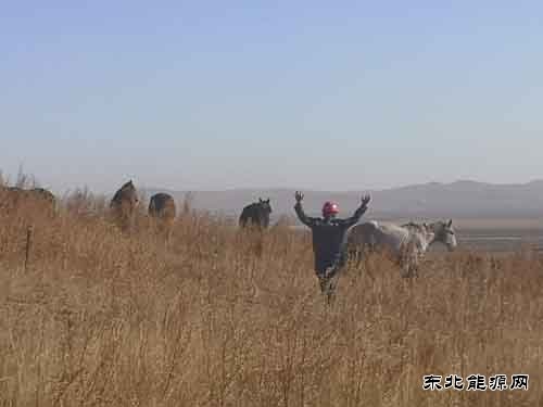 大唐呼伦贝尔乐博体育公司：抗疫36小时