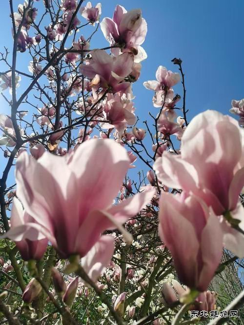 把余生还给自己