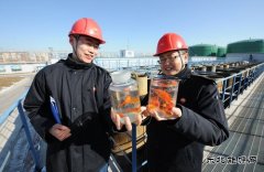 达标水里养小鱼