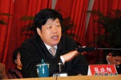 张晓阳：十三五期间 燃料乙醇应由试点转向全面推广