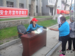 兴凯湖电业局：迎春供电开展安全用电宣传咨询日活动