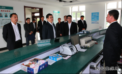 兴凯湖电业局：省电力公司总经理丁扬到兴凯湖电业局调研