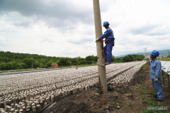 创建星级乡镇供电所  打造服务“三农”旗舰队
