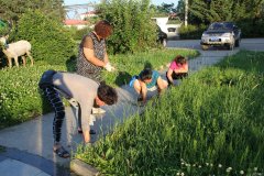 金沙供电践行“两学一做”开展环境卫生清洁服务活动