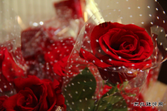 宁东铁路公司成功举办“有缘相爱在鹊桥”联谊相亲会