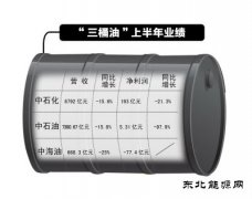 中石化上半年利润降两成