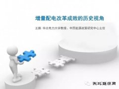 王鹏：配电改革百个试点背后危机四伏