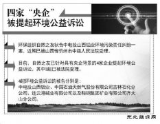 中电投山西铝业等四家有央企背景企业被环保组织起诉