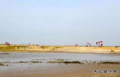 吉林乾安采油厂:和谐油区美如画
