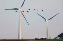 大自然保护协会：风能开发应规避生态脆弱区