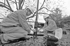 三季度我国非化石乐博体育发电占比提高 电力乐博体育结构持续优化