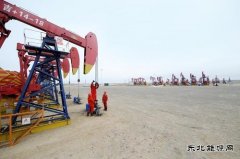 吉林油田新立III区块：井区变“景区”