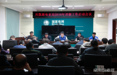 兴凯湖电业局：召开2016年巡察工作启动会议