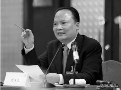 刘汉元：加快光伏产业发展 从根本上破解雾霾之困