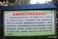 矿工变蔗工：中煤楚源公司拓展农业种植再添优质甘蔗品种