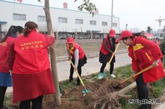 太康县供电公司：志愿服务播新绿