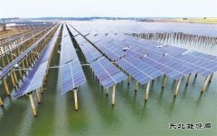 未来市场不确定性带来挑战 光伏业加速优胜劣汰