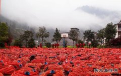 东方物探2202队奋战紫金坝