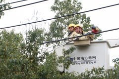 凯供城区分局：清树障保安全助降损