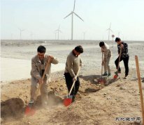 新疆清洁：让风场和戈壁充满绿