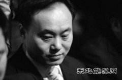 中国光伏“教父”欲华丽回归？