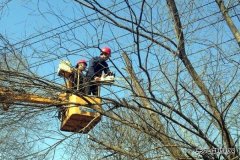 富锦供电公司：开展线路通道清理