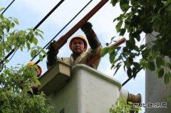 凯供城区分局：技能新突破 配网不停电组立电杆提高供电可靠性