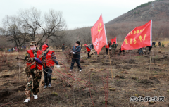 兴凯湖电业局：机关全体人员参加牡丹江管理局义务植树活动