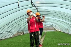 清河林业供电局：党员服务队护航“春耕”