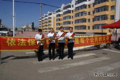 兴凯湖电业局：金沙供电利用农场集贸市场进行安全用电知识宣传