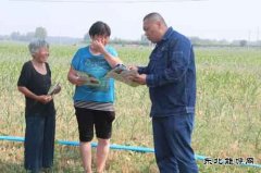 太康县供电公司：“第一书记”送安全