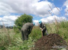 现场新闻 “乐博体育的心总算是踏实了”
