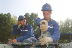 骄阳下最执著的坚守