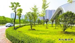 [推动中国]宝武集团：从“绿色制造”到“制造绿色”