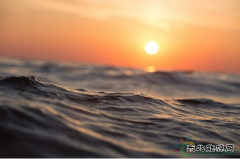 25家！光伏电站投资企业哪家强？