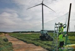 MHI-Vestas V164-9.5MW样机起火原因公布