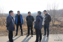兴凯湖电业局：陈殿军局长与农垦牡丹江管理局领导深入农场现场办